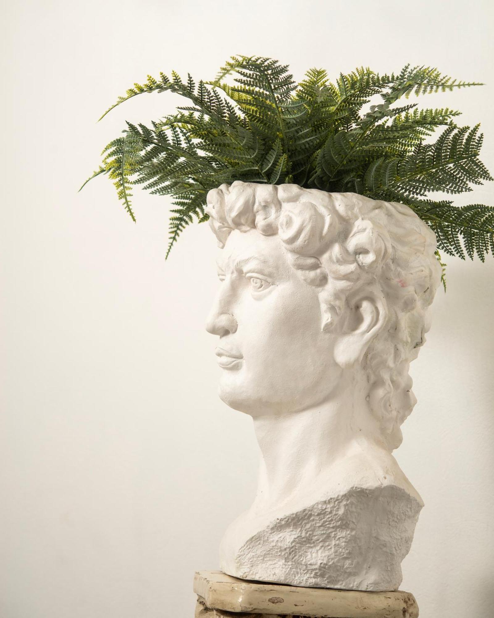 Hotel Atenas ハラパ エクステリア 写真